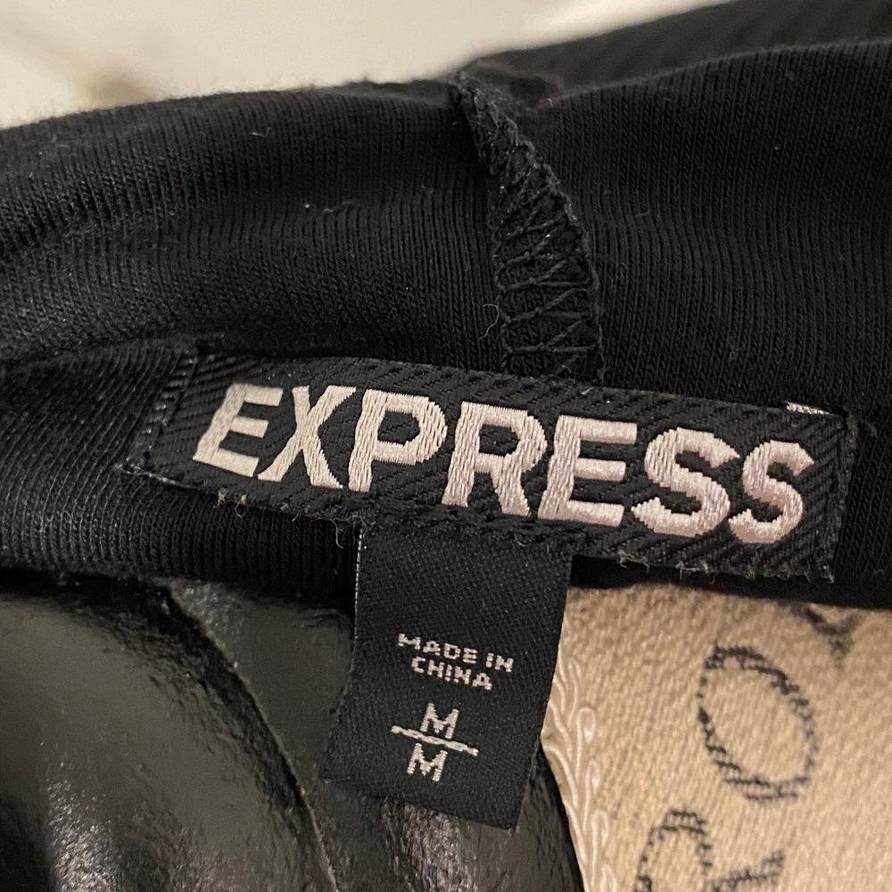 Express Dress - Picture 3 of 3